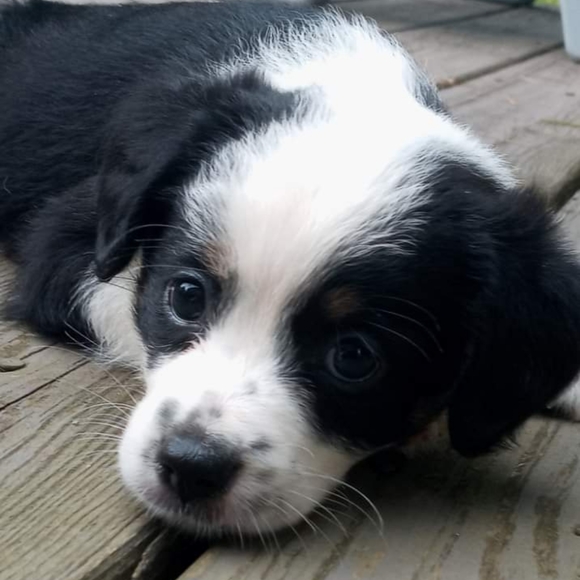 Meet your Posher, Haeden - Picture 9 of 10